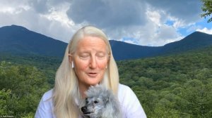 Supporting Your Pet's Gut Health | With Ruth Roberts @DrRuthRoberts