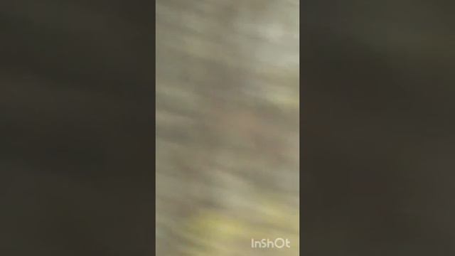 Куликово поле 3 часть смотреть онлайн