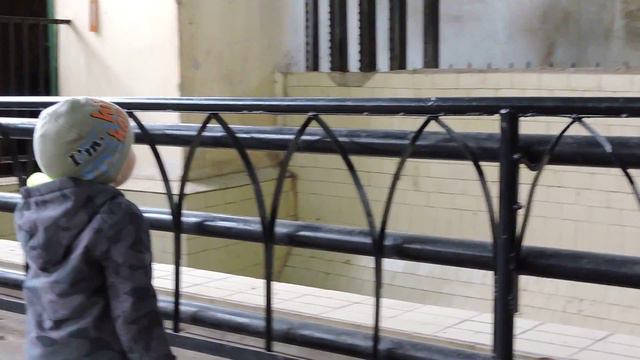 Федор Александрович и слон смотреть онлайн