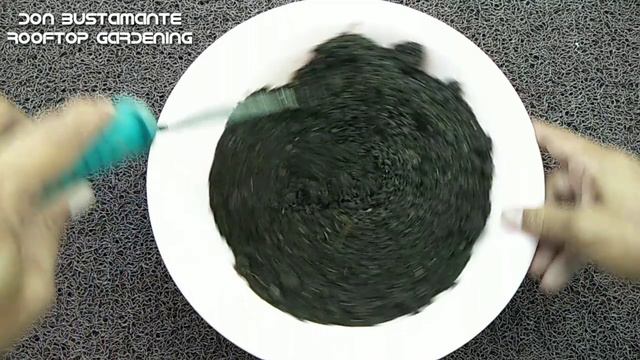 How To Avoid Bacterial Infection From Potting Mix I Natural Way To Get Rid Of Pathogen And Nematode смотреть онлайн