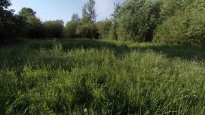 День рождения Мамы 80 лет в Полежаевском парке 04.06.24