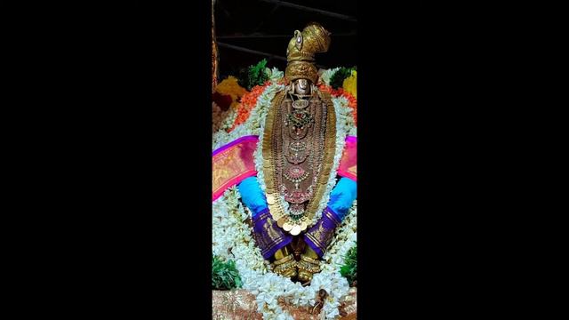 Nammazhwar Thirunakshatra Vaibhavam - Jayanthi Rangarajan смотреть онлайн