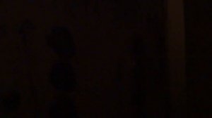 Пассажирский лифт (г. Лобня), V=0,71 м-с, г-п 320 кг (25)