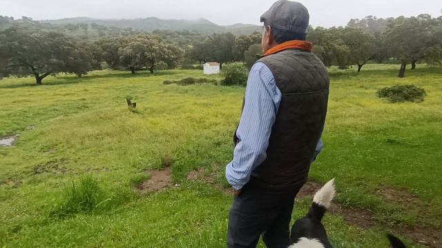 la semana santa se desluce pero el agua es muy bienvenida🌧️🌧️ смотреть онлайн