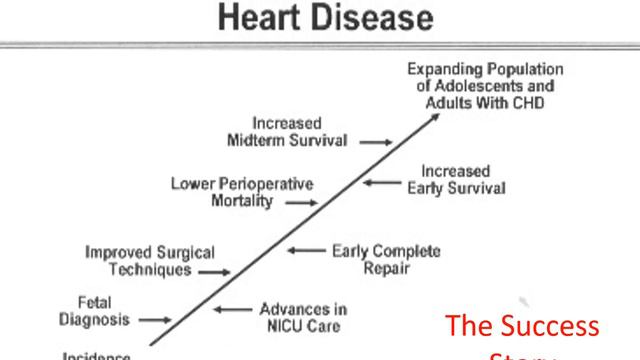 ACHD Overview - Prof. Dr Khaled Sorour смотреть онлайн