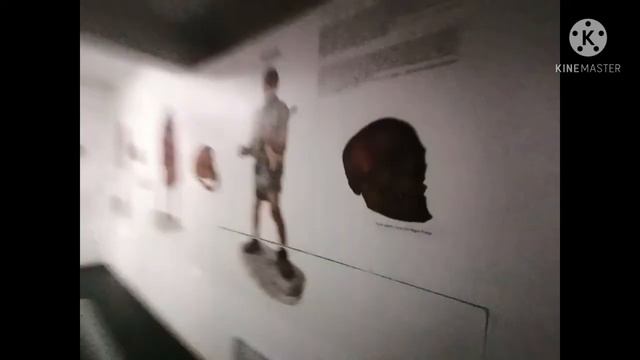 Muzeu  Antipa смотреть онлайн