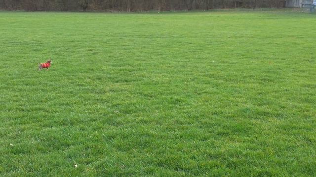 Agapi at Körschtal - Scharnhausen смотреть онлайн