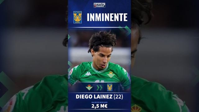 DIEGO LAINEZ