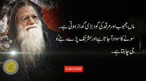 Baba Mohammad Yahya Khan Quotes l Golden Words l Sunehray Alfaaz