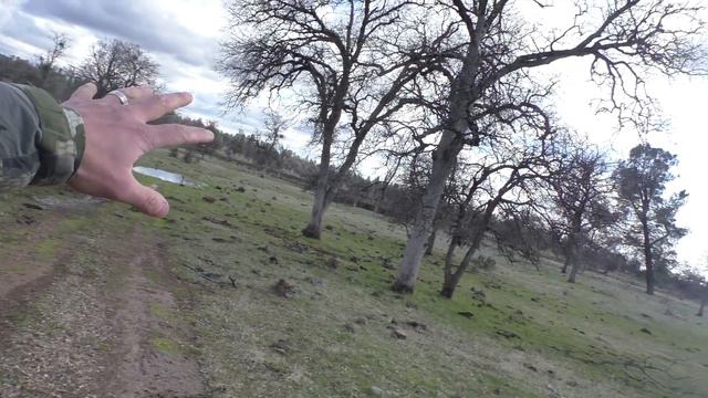 Chad Mendes Spot and Stalk Wild Boar Hunt!| THE PROVIDER