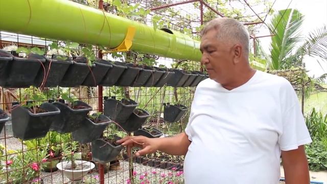 MANa: Strawberry Farm ng Central Luzon | Episode 6 Season 2 смотреть онлайн
