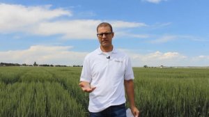 Colorado Wheat Update – Brad Erker, Executive Director Colorado Wheat