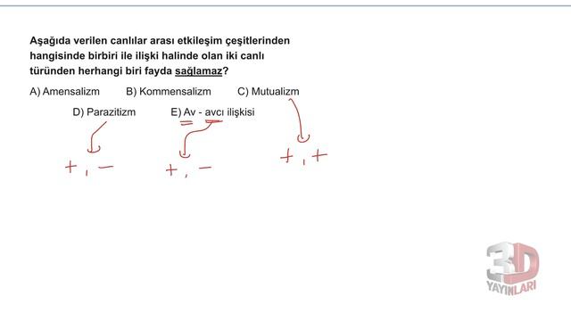 AYT Biyoloji Simülasyon Denemeleri Deneme 02 Soru Çözümleri смотреть онлайн