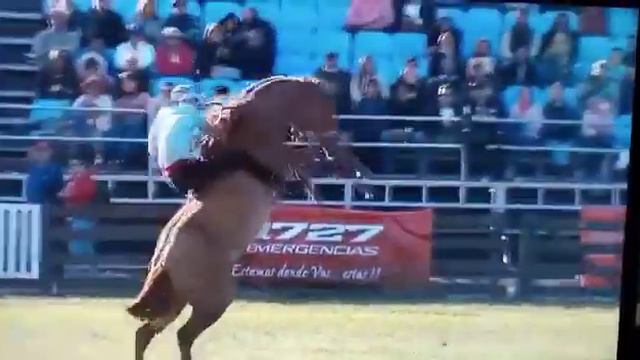 gran corcobiada en clinas смотреть онлайн