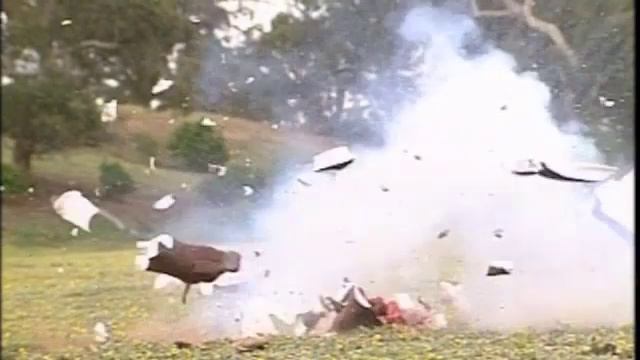 [FAST FORWARD] Die Herd 3 смотреть онлайн