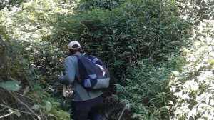 Em busca da lagoa perdida (capitulo 1), Zona rural da Serra ES