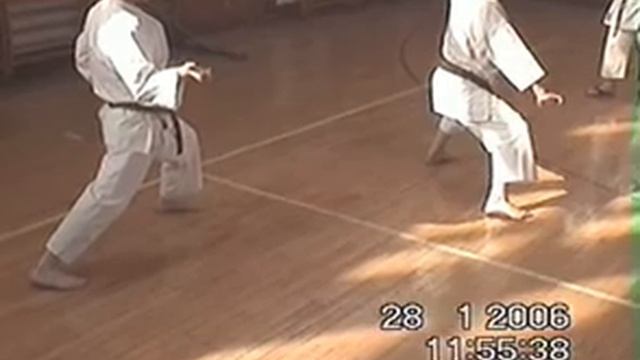 Karate Radoš i Vlada.avi смотреть онлайн
