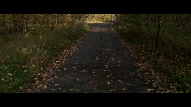 iPhone XR Cinematic 4KОсень 2020 (4k Anamorphic lens) часть 2 смотреть онлайн