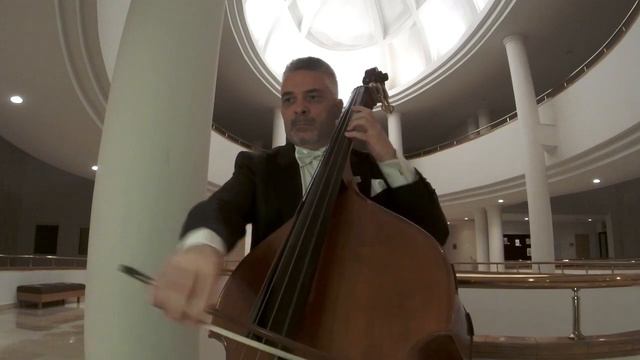 Domenico DRAGONETTİ - Twelve Waltzes смотреть онлайн