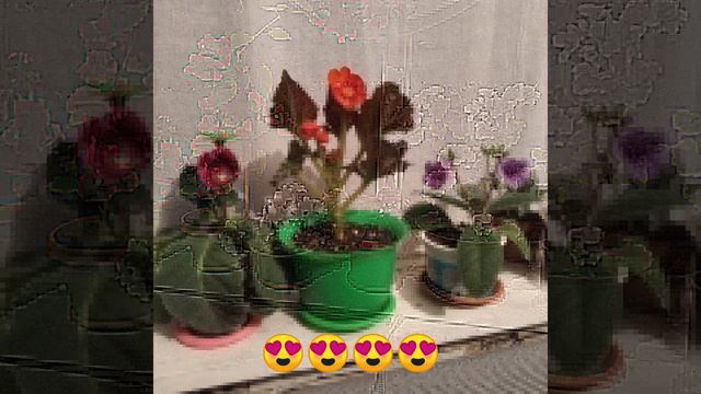 Я жуву Кргыстане Джалал-абадтском облосте сузакском район 🇰🇬🇰🇬🇰🇬🇰🇬🇰🇬 смотреть онлайн