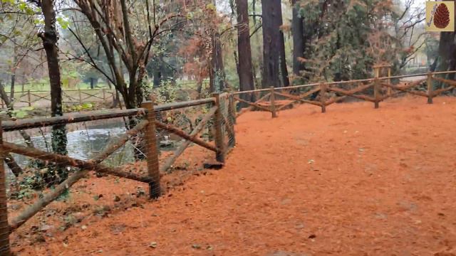 Vlog#13 Day 39 in Milan-Italy-Europe.. Indro Montanelli Public Garden near Milan central Part-2..