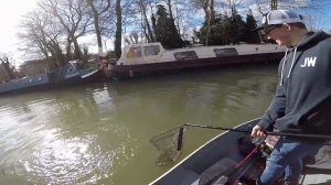 Perch And Pike