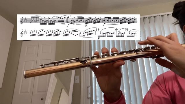 [3/4/24 practice log] Berbiguier Flute Etude no. 7 смотреть онлайн