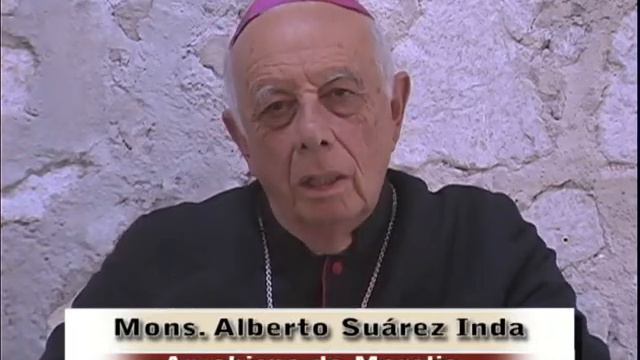 video 7 de agosto смотреть онлайн