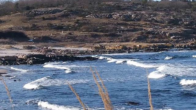 melody for guitar by svend ter-borch смотреть онлайн