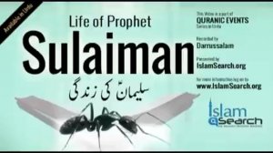 Hazrat Sulaiman (a) ka Qissa - Story of Prophet Sulaiman in Urdu - Qisas ul Anbiya - IslamSearch