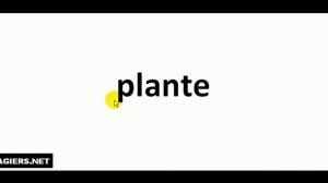 Jak wymówić plante