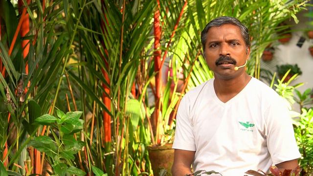 White Sugar ?? | Dr.Sugin Herbert | Tamil смотреть онлайн