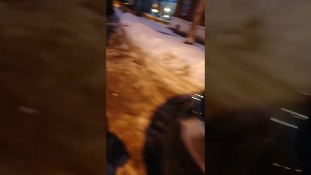 Прятки смотреть онлайн