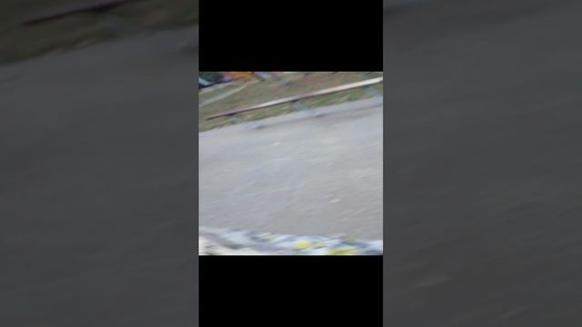 футбол