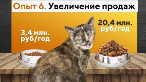 Продвижение интернет-магазина рост продаж с 3,4 млн/год до 20,4 млн/год в интернет-магазине.