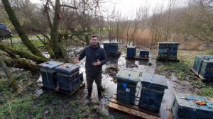 Storm Dennis -  Flooded Apiary