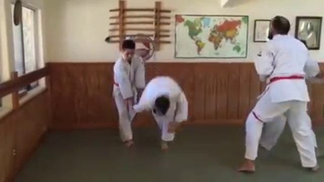 Yukichigai Basic Yoseikan Technique