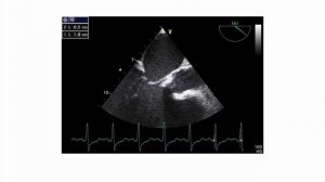 Sessão de Cardiologia