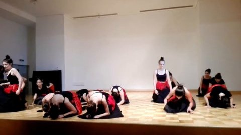 Agrupamento de Escolas Dr. Francisco Sanches - VID 1η μέρα 1 χορός