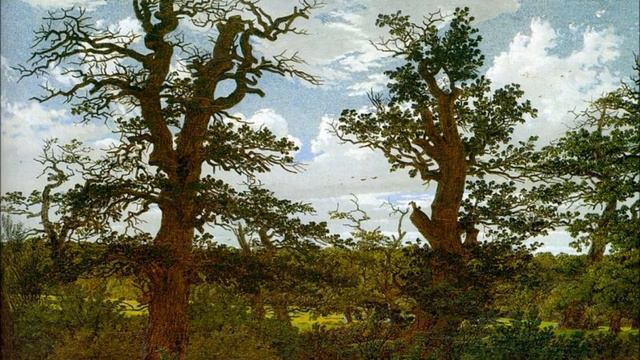 Johann Jacob Froberger - Suite for harpsicord No10 in A minor, Bob van Asperen смотреть онлайн