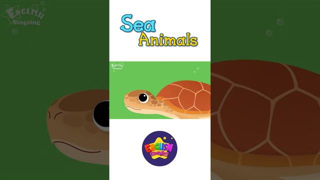 Kids vocabulary - Sea Animals