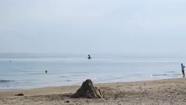 Mihaela Ursuleasa plays Ginastera/3 смотреть онлайн