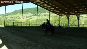 Slidingstop e rollback #horse #reining #cavallo #slidingstop #reiningonsliders #reiningtraining