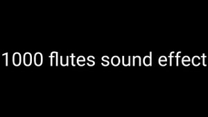 Preview 1280 1000 Flutes