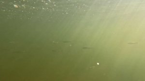 Маршрут выходного дня в Инжавинском округе