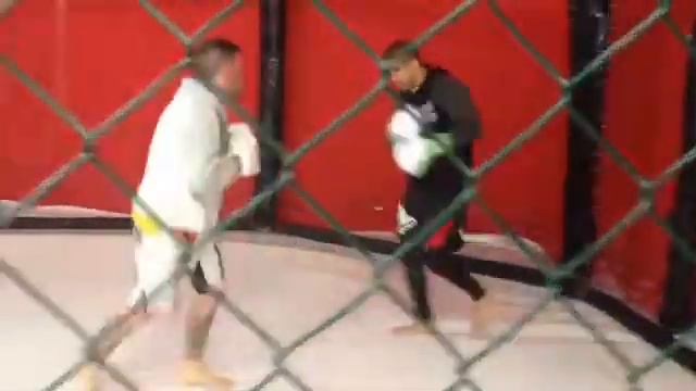 Pedro shinchan con tulio Palhares смотреть онлайн