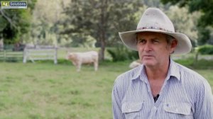 The Story of Kandanga Valley Charolais & Charbray Stud