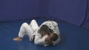 Seminário - Ronaldo Jacaré Souza - BJJ Instructional bjj concept