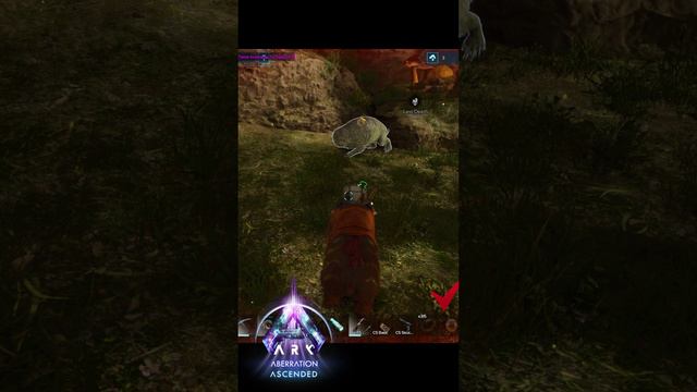 Приручение Кротокрыса для сбора дерева #arksurvivalascended #shorts #aberration #rollrat