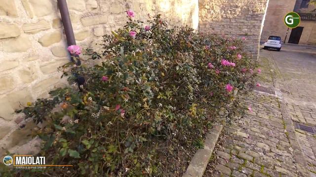 Maiolati il borgo di Gaspare Spontini